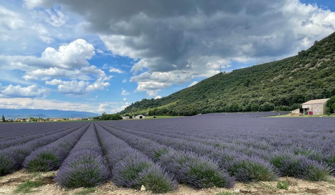 Сasa de vacaciones La Maison Dans L'olivette *