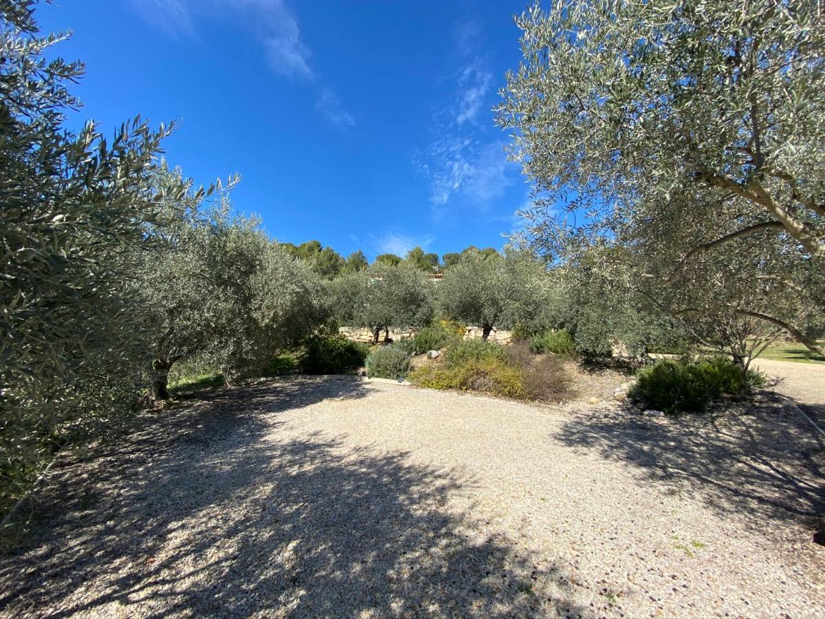 La Maison Dans L'olivette Holiday home