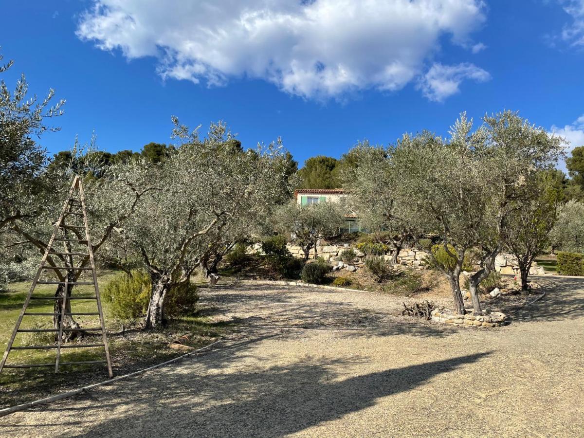 La Maison Dans L'olivette