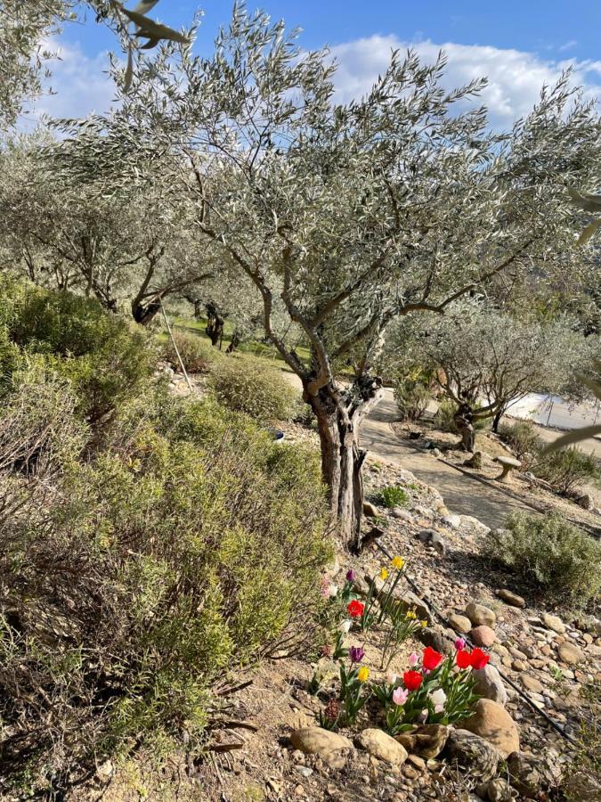 Holiday home La Maison Dans L'olivette