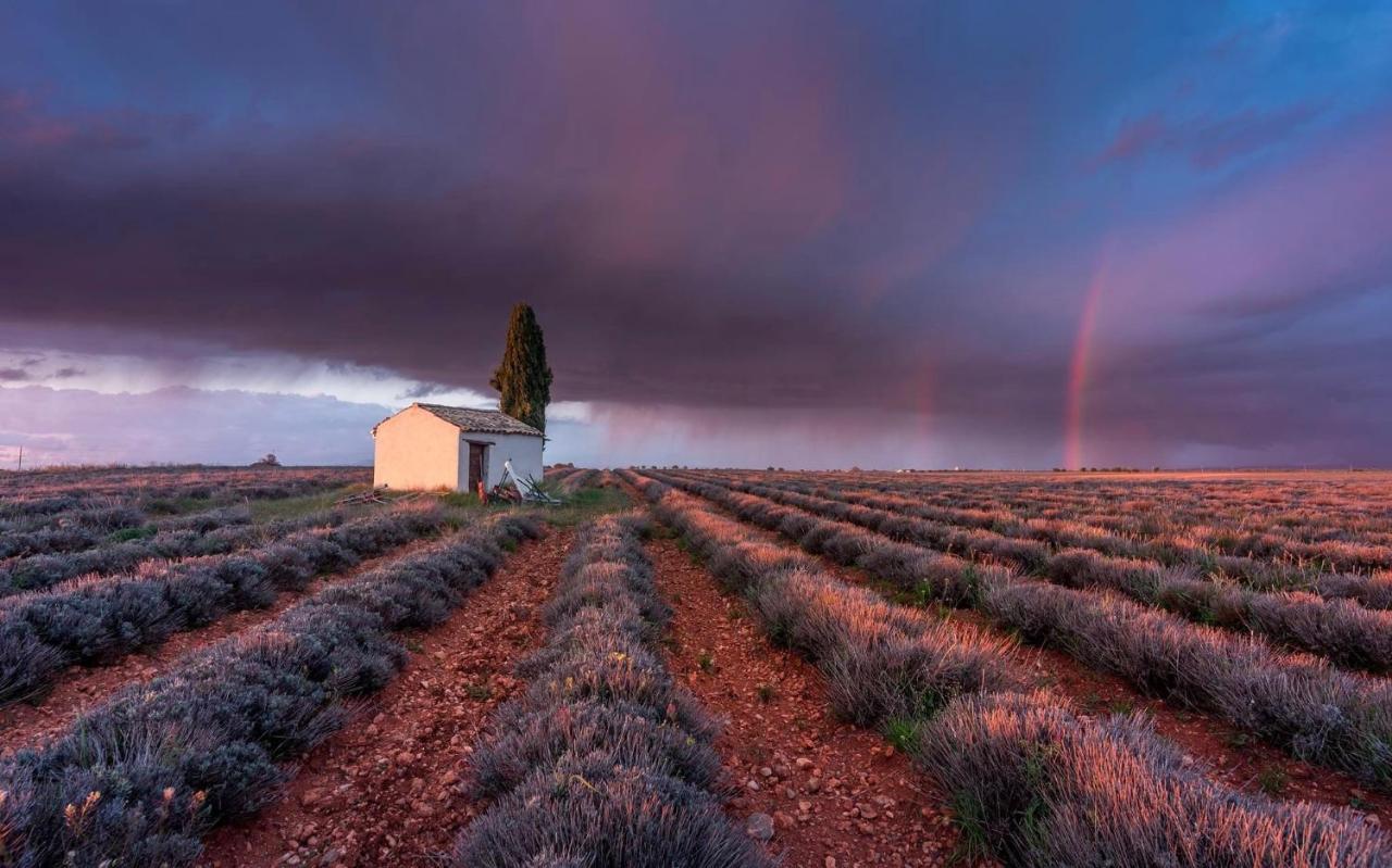 La Maison Dans L'olivette * Oraison