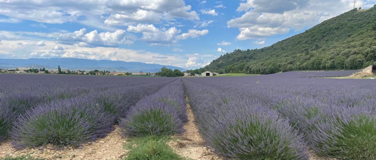 La Maison Dans L'olivette Holiday home Oraison